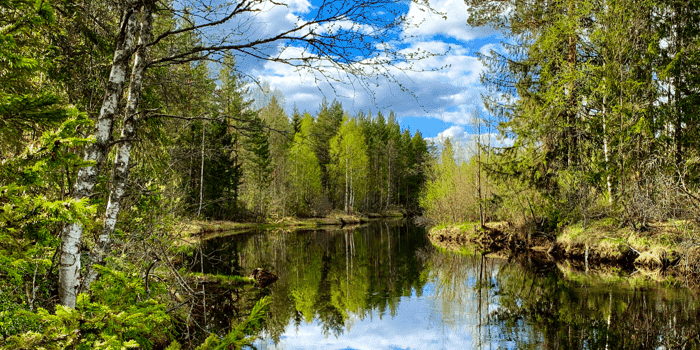 Featured Image